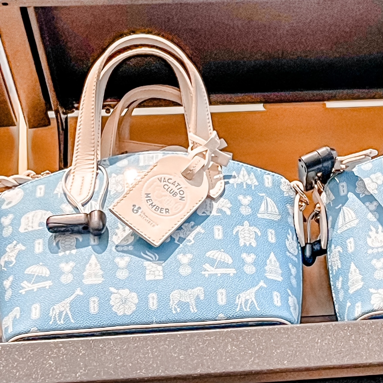 2026 Disney Dooney and Bourke Bags New Collections