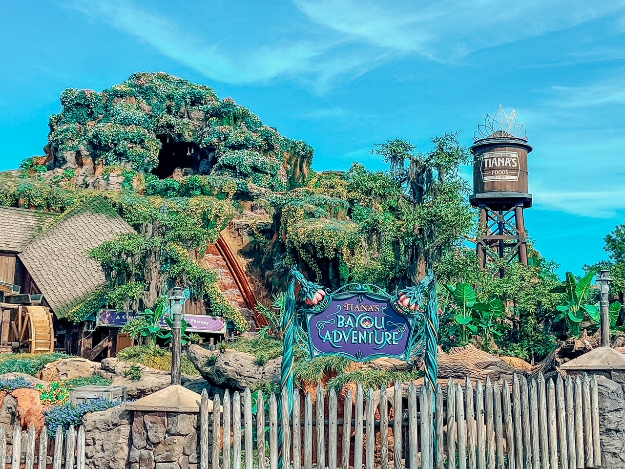 Tiana's Bayou Adventure